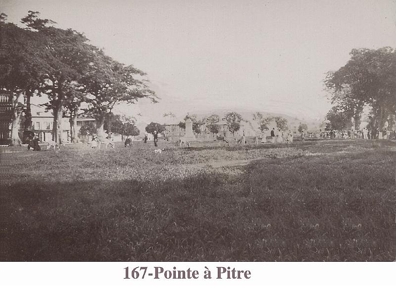 167-PointeaPitre.jpg