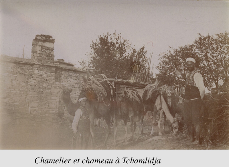 50-Tchamlidja1.jpg