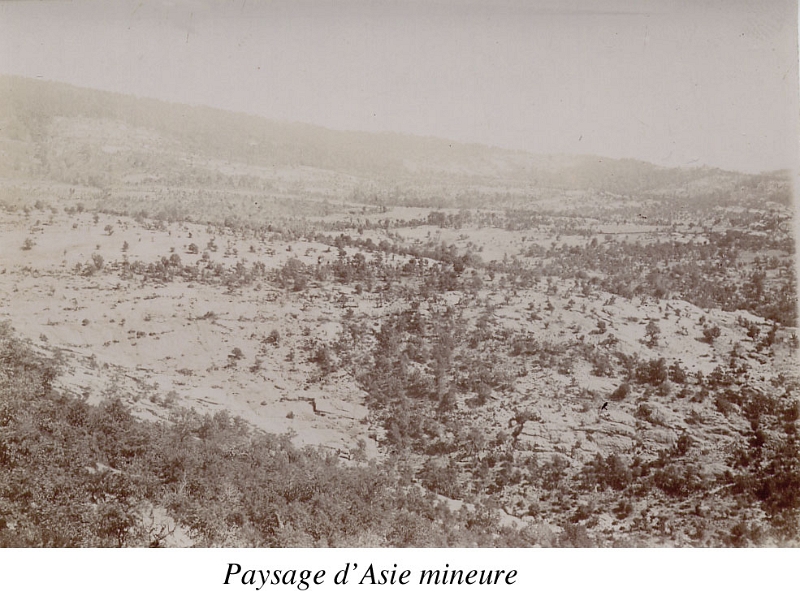 73-Asiemineure1.jpg